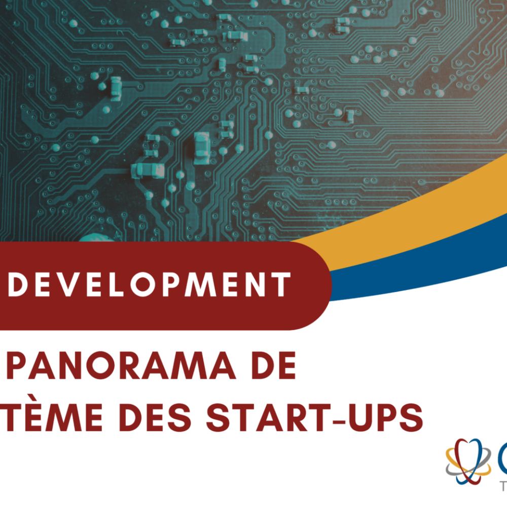 Business development et innovation : panorama de l’écosystème des start-ups en Turquie 